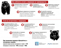 Чтобы обезопасить себя от встречи с медведем!