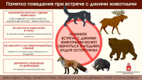 Дикие животные в населённых пунктах - ответственность человека!