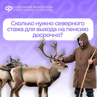 Региональное Отделение СФР в 2025 году оформило более 2 тысячам жителей Хабаровского края пенсии за северный стаж досрочно
